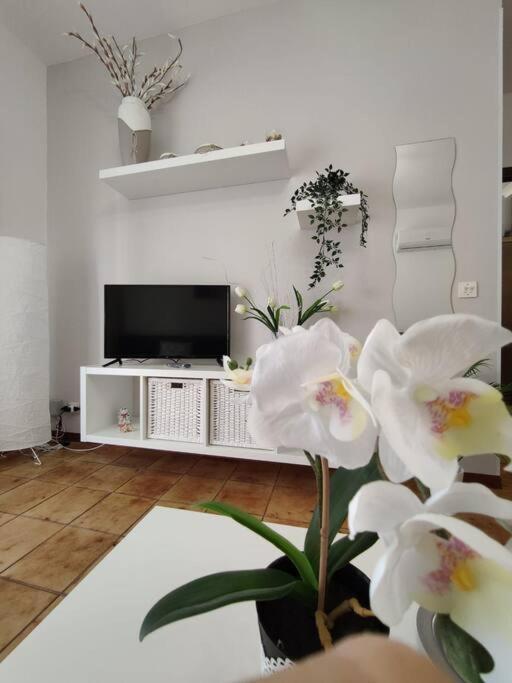 Appartamento Da Nella Giardini-Naxos Kültér fotó